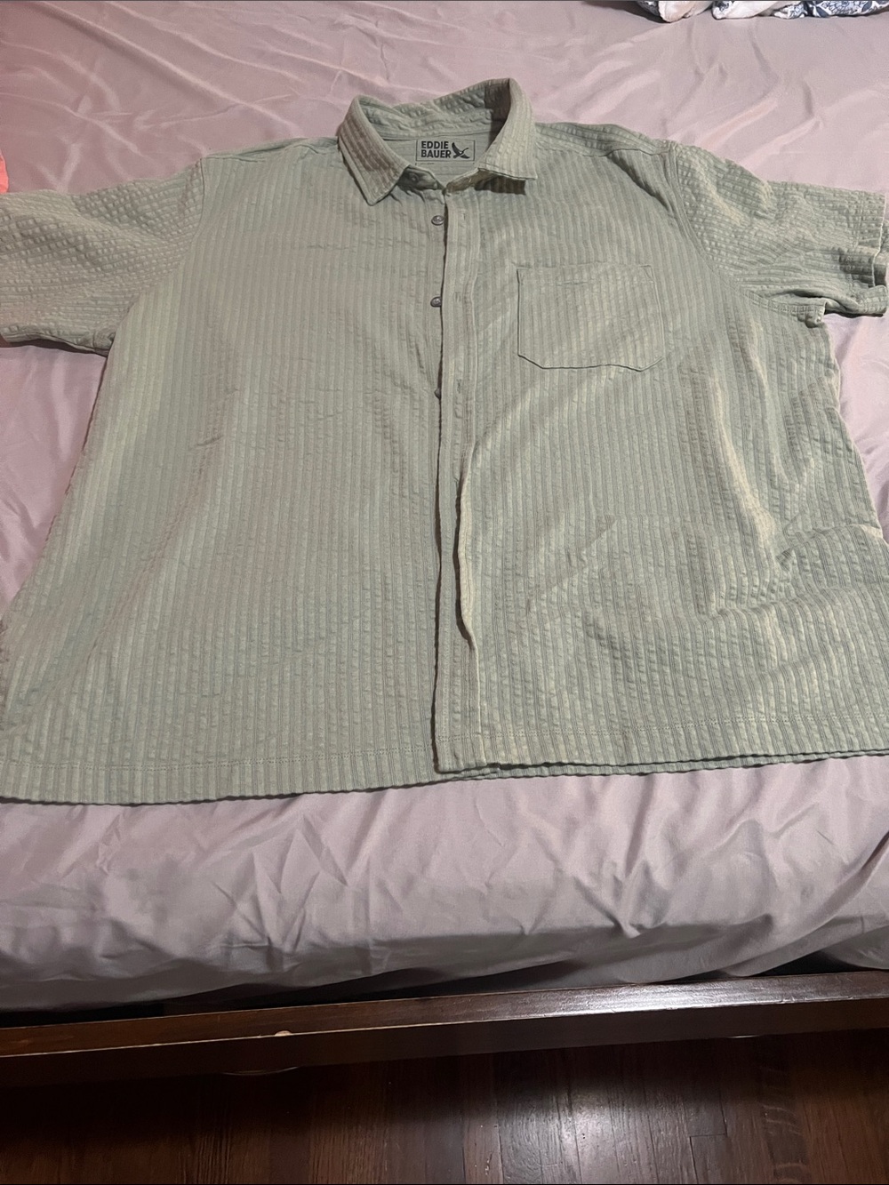 Eddie Bauer Light Sage Green Short-Sleeve Button-Down Shirt